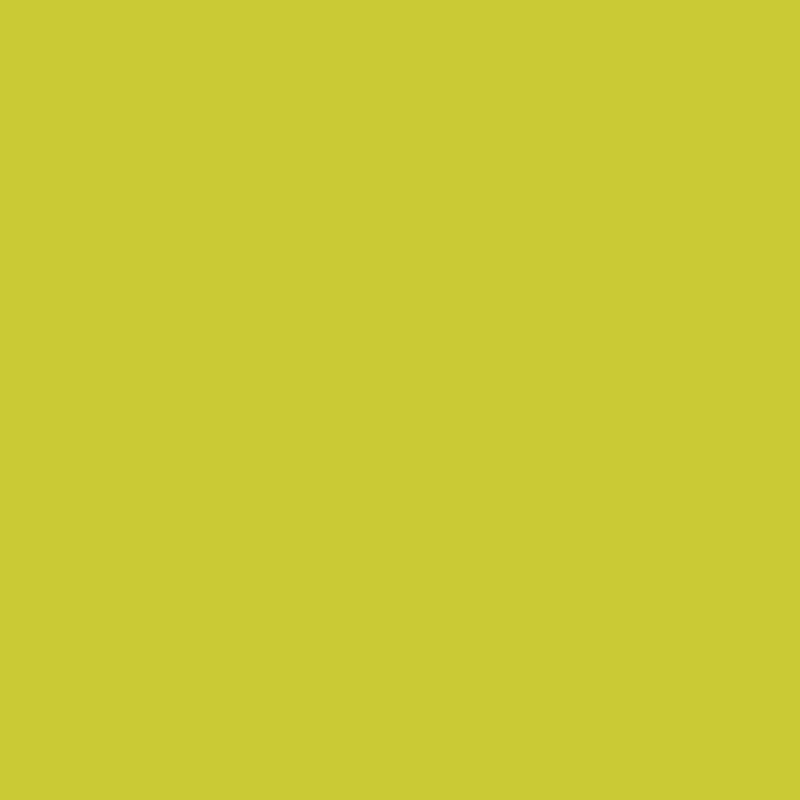 399 Exotic Lime - Paint Color