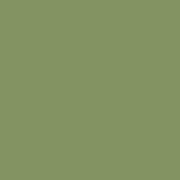 433 Forest Hills Green - Paint Color