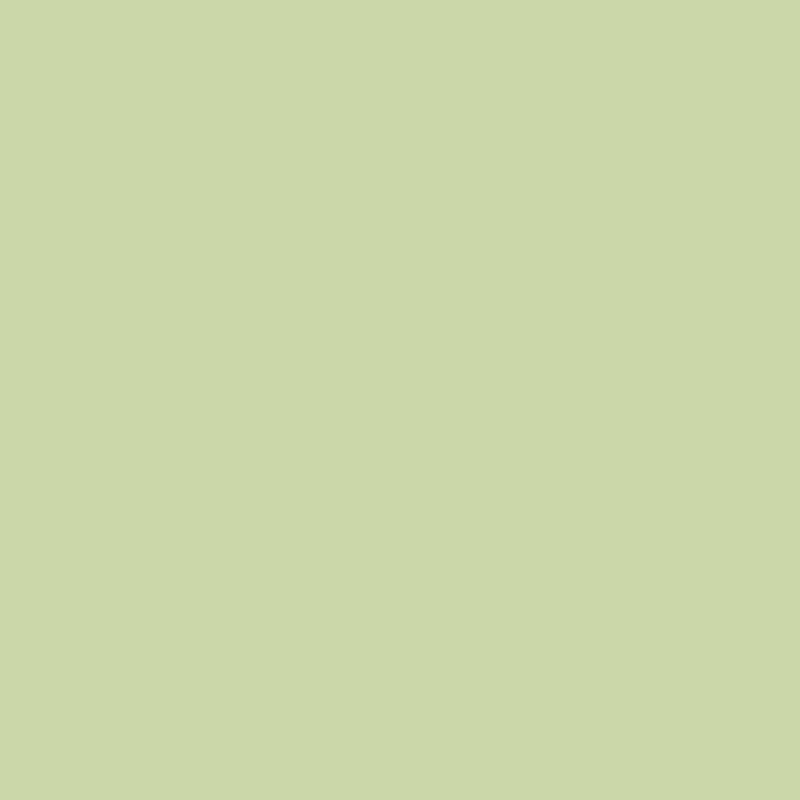 536 Sienna Laurel - Paint Color