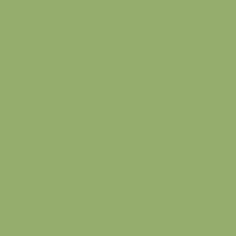 544 Kiwi - Paint Color