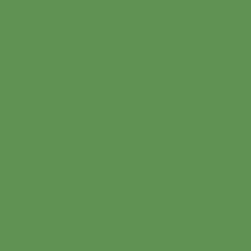 553 Richmond Green - Paint Color