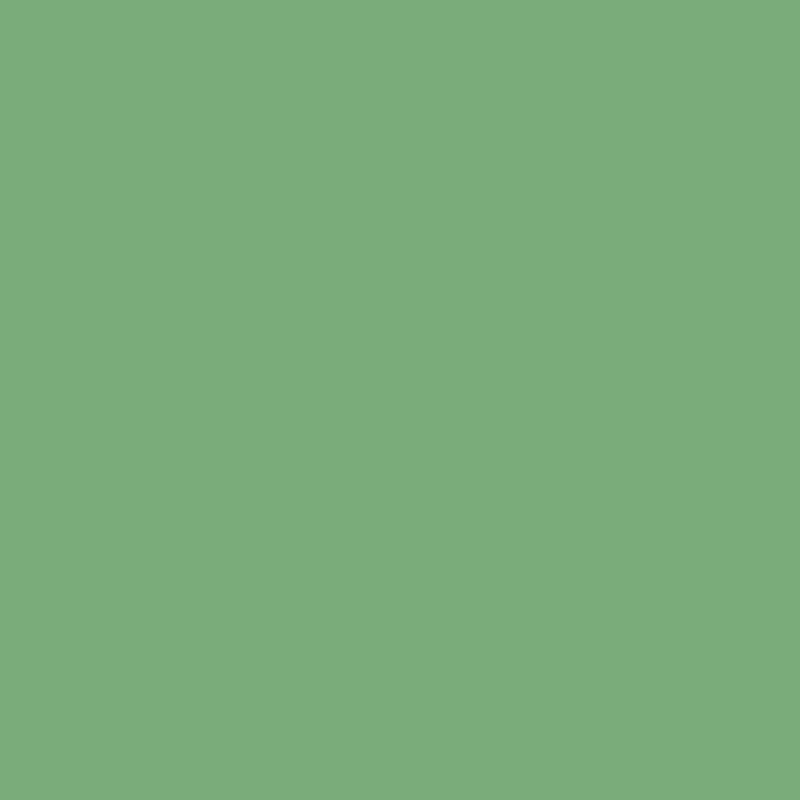 565 Aurora Borealis - Paint Color