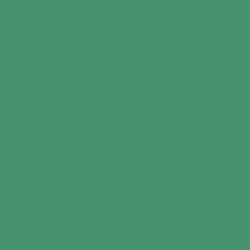 588 Luck of the Irish - Paint Color