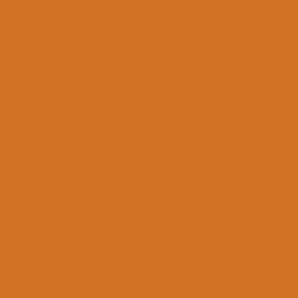 CSP-1110 14 Carrots - Paint Color