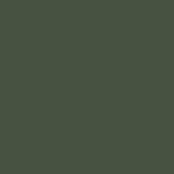 CSP-810 Chimichurri - Paint Color