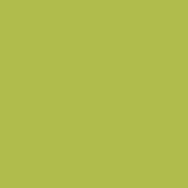 CSP-865 Limeade - Paint Color