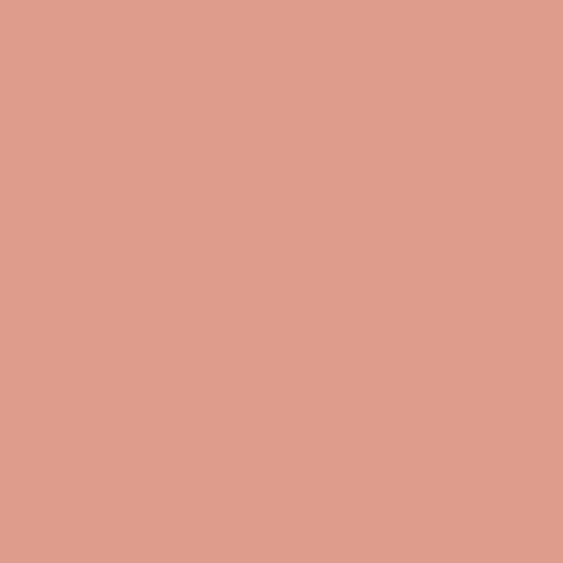 CW-215 Custis Salmon - Paint Color