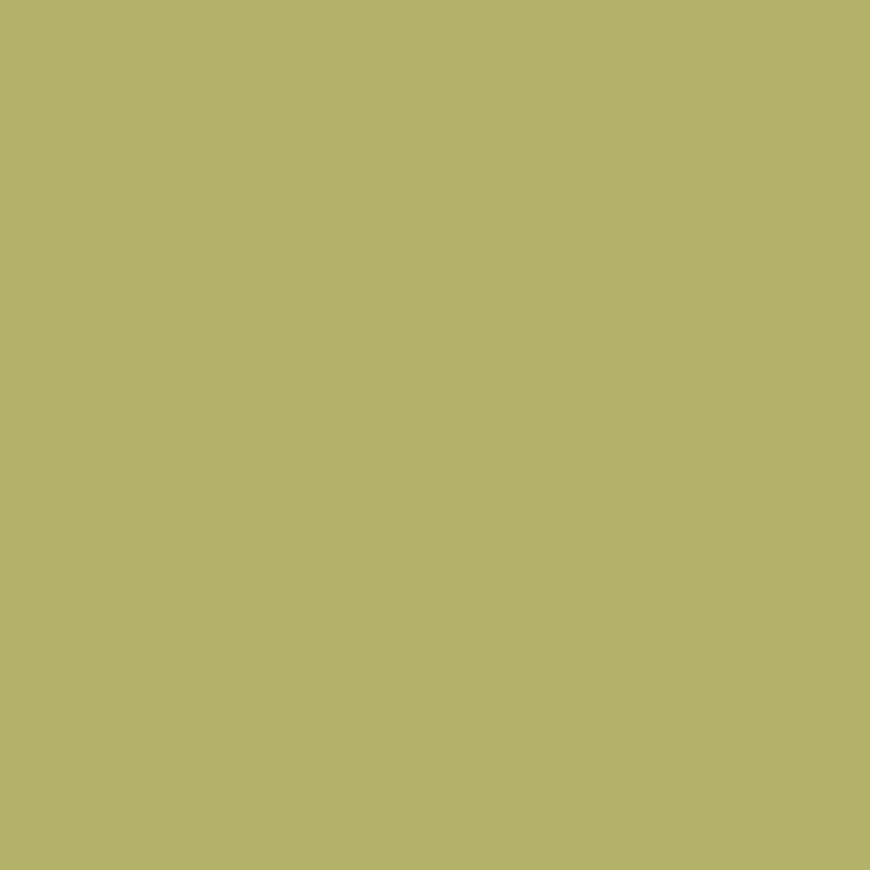 CW-465 Parrot Green - Paint Color
