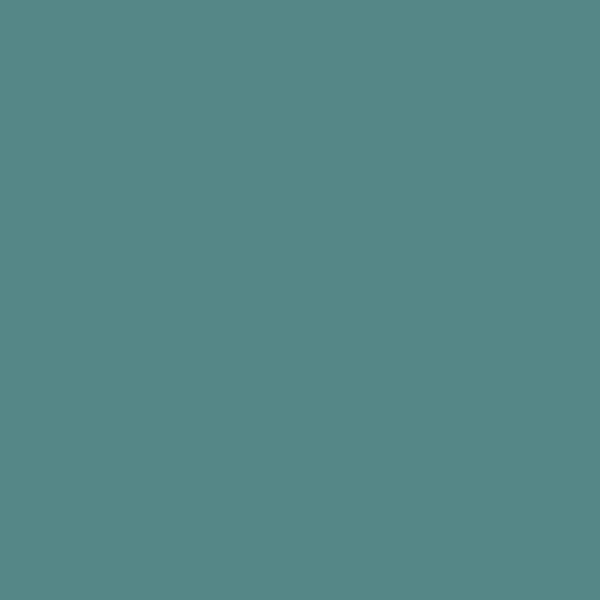 CW-570 Mayo Teal - Paint Color