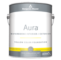 Aura Color Foundation Primer (521)